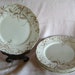 English Transferware plates 5 with small chip late 1800 T R Boote Waterloo Potteries