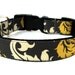 Damask Dog Collar 1" Feminine Dog Collar Yellow and Grey Dog Collar