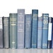 Vintage 10 Book Blue collection Interior design Vintage Book decor