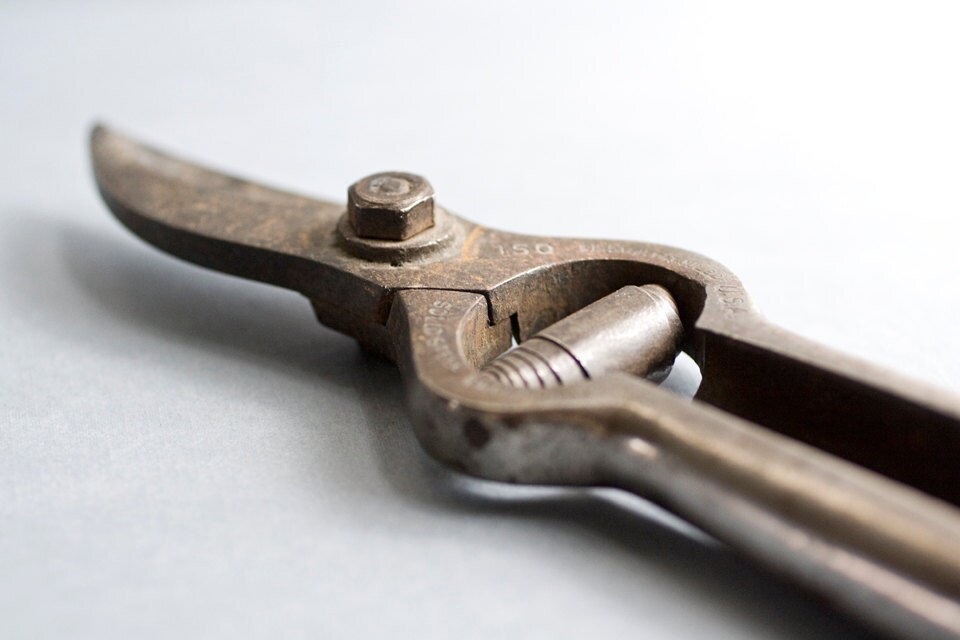 Antique Garden Pruners Vintage Disston Tool Vintage
