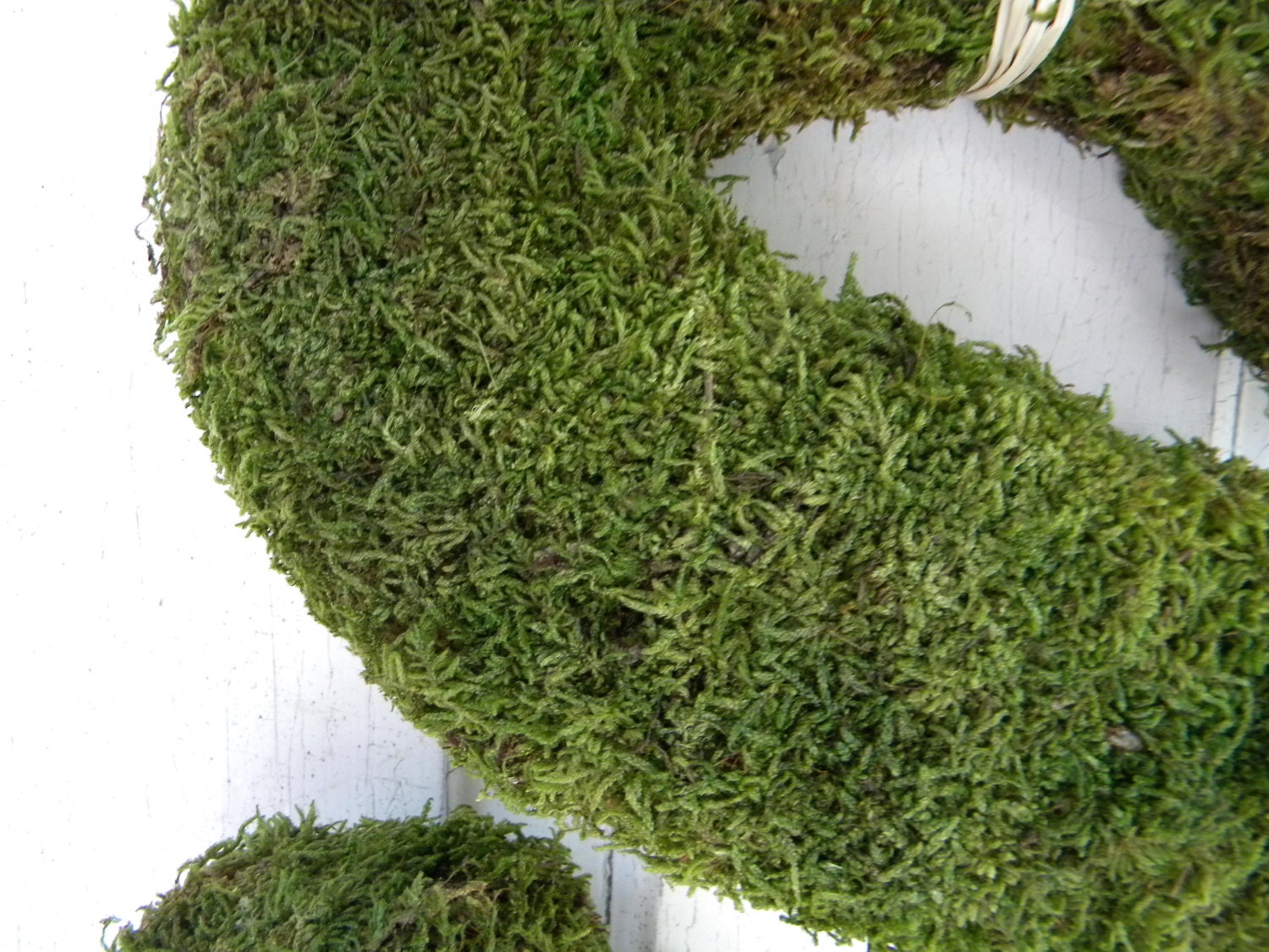 Moss Covered Inital Letter by NaturDesign on Etsy