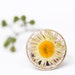 OOAK "White Gold" Color Nature Ring with Real Daisy Flower 3/4 inch (16mm)