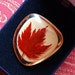 Holiday Sale - Cute vintage maple leaf brooch. Features a real maple leaf contained within a lucite brooch / pin.