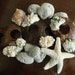 Sarong Clip or Scarf Clip Coconut Sea Shell Sea Glass Pearl Rhinestone Hair Clip, Beach Accessories, Shell Hair Accessories