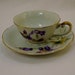 Hand painted porcelain tea cup and saucer
