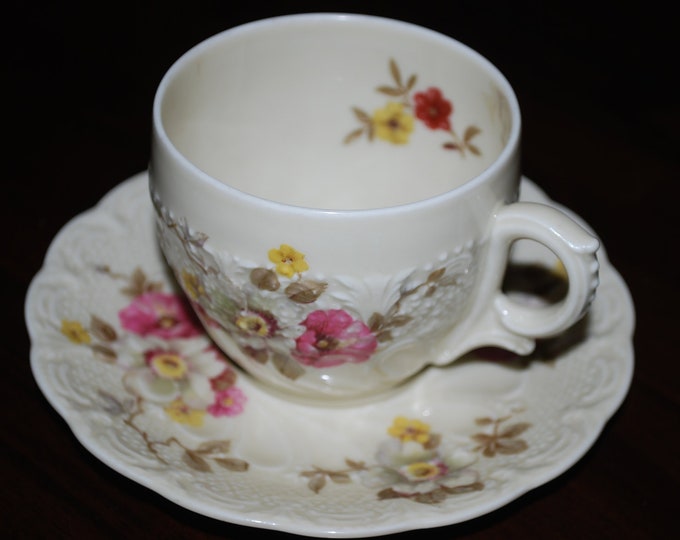 Hohenberg Bavaria Flora Apple Blosson Vintage tea cup and saucer