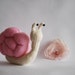 Romantic Pink Snail. SALE