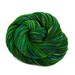 Hand Dyed Superwash Corriedale Wool Fingering Sock Yarn - Rainforest