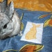 The Bun-velope - soft carrier liner for bunny rabbits quilted cotton blue and yellow tulips with handmade bunny patch