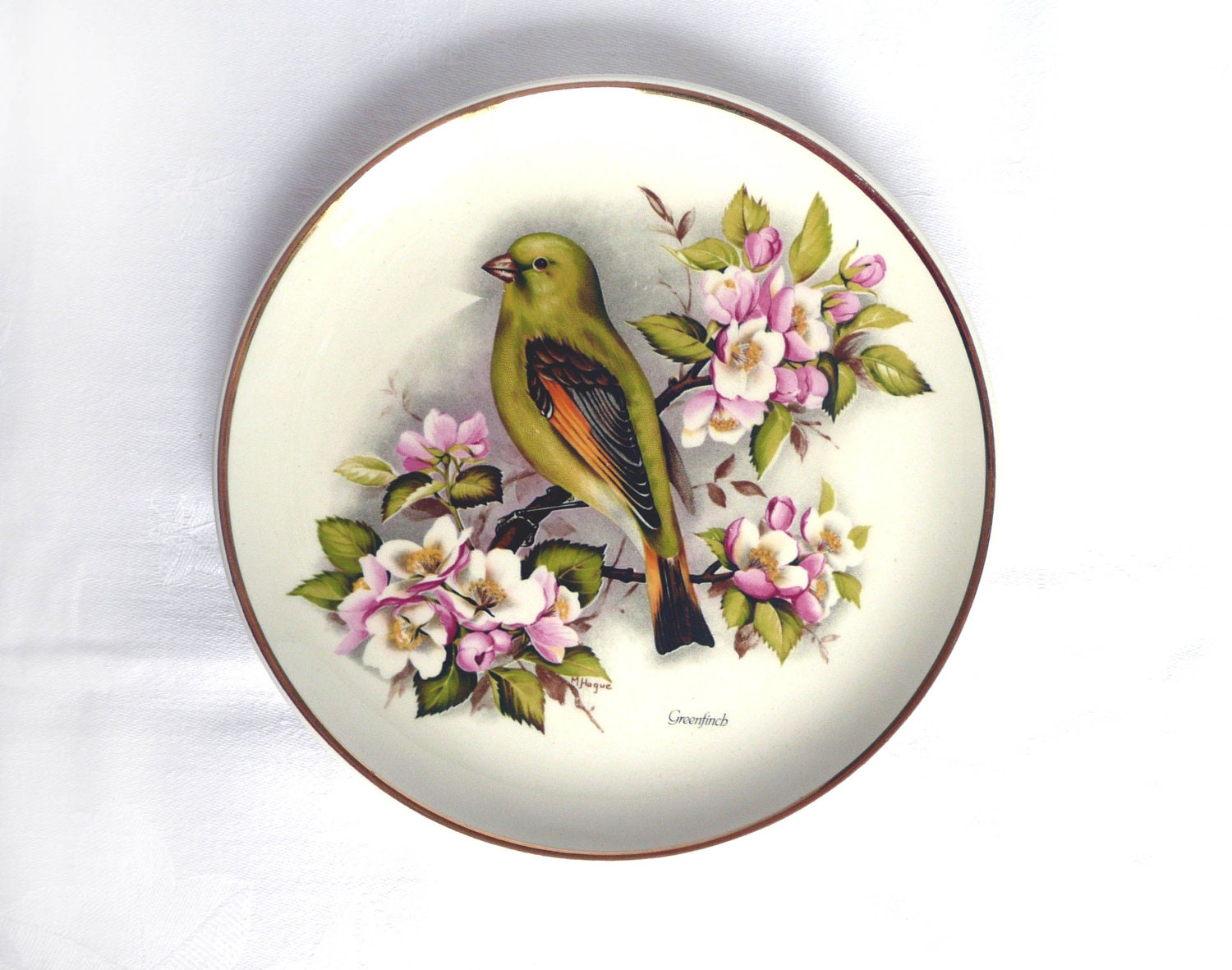 Vintage bird plate decorative bird plate illustrated bird