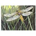 ACEO Original of Dragonfly, Artists trading card