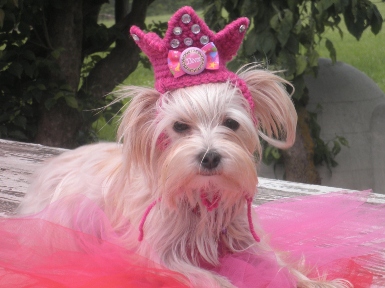 Crocheted Crown Hat for Dogs or Cats Pink Princess Diva