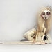Frankenweenie Weird Girl inspired Art Doll