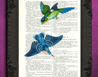 Bird artwork flying birds blue bird art print vintage dictionary page book art print recycled upcycled repurposed green bluebird