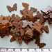 Reserved Bakelite Butterfly Buttons 1930's sixty four pieces
