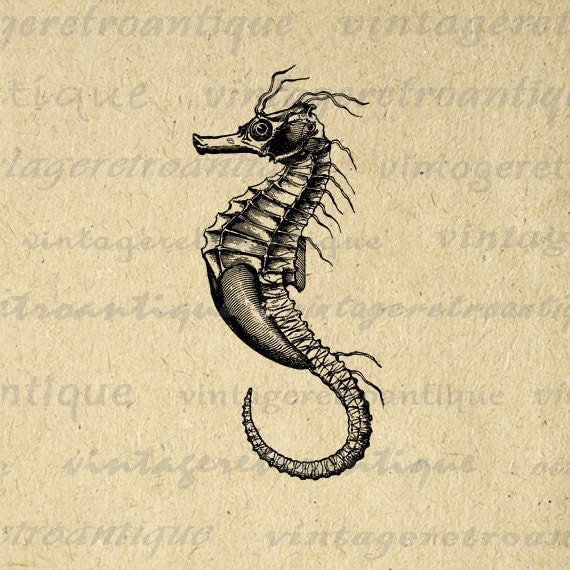 Animal Artwork – Vintage Retro Antique