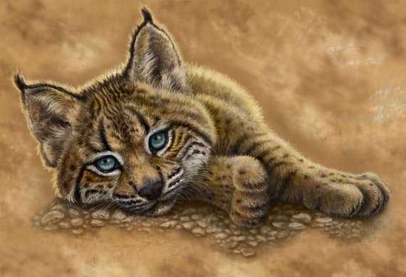 Iberian Lynx Painting Print