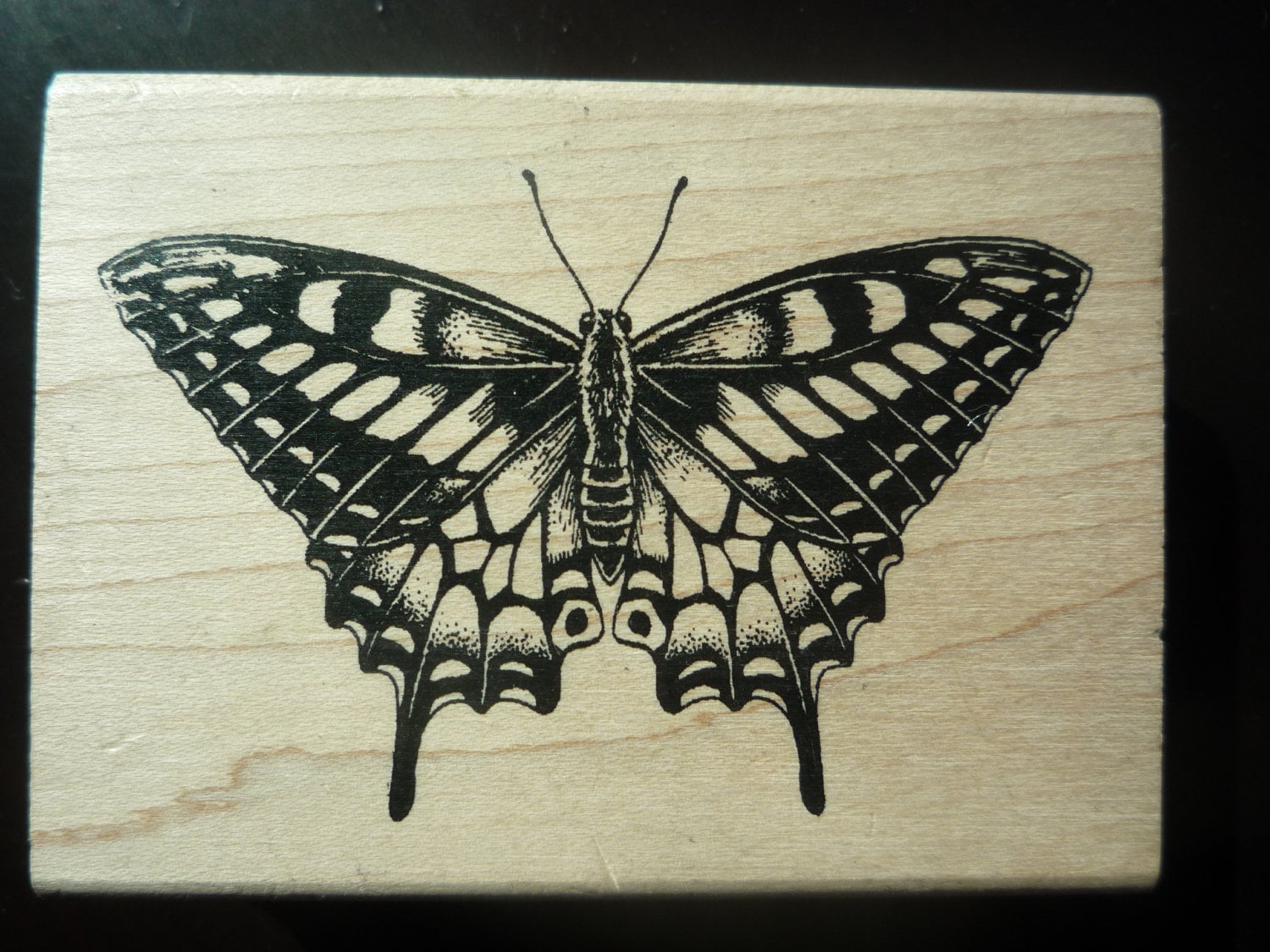 New Large Rubber Stamp BUTTERFLY By Inkadinkado