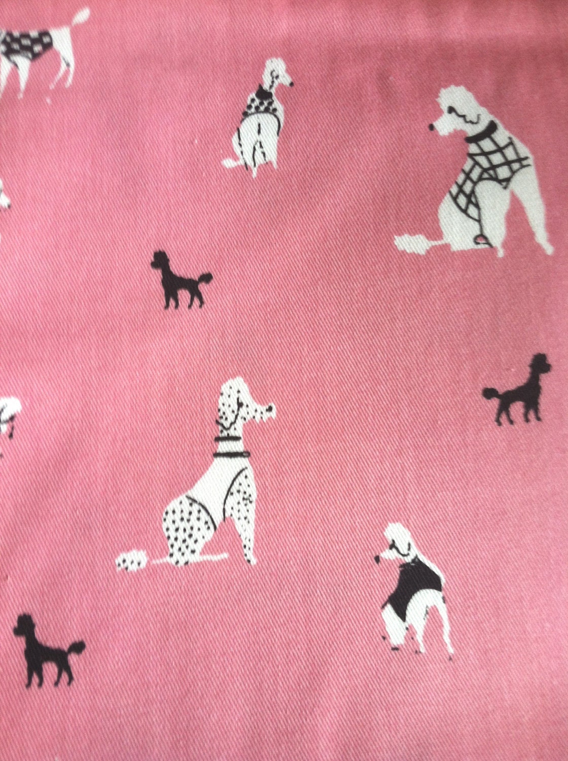 Image Result For Poodle Print Fabric Image Result For Poodle Print Fabric