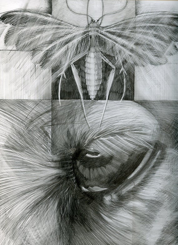 Right Eye Pencil Drawing on ClayBoard by GinaFreuen on Etsy