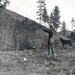 vintage photo Boy w Dog Shoots Rifle gun on Farm 1899 cabinet