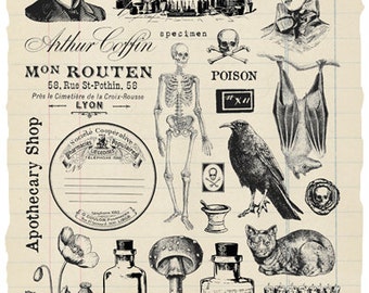Apothecary Rubber Stamp Collection