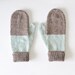 Mittens No. 12