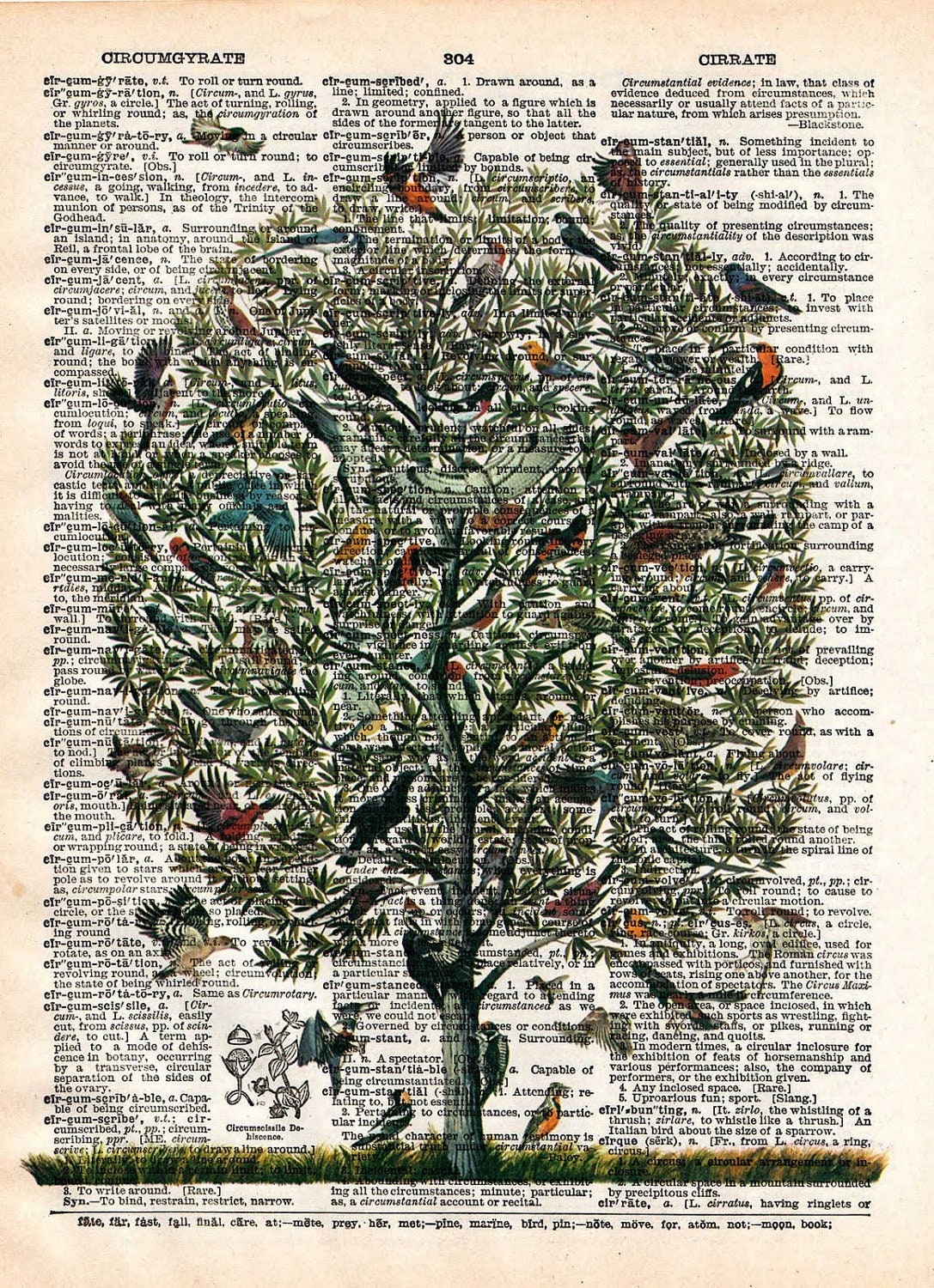 Vintage Dictionary Print Tree of Birds Vintage Book Art