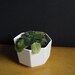 Cream Octogon - Vintage Cream Pottery Vase - Vintage Planter