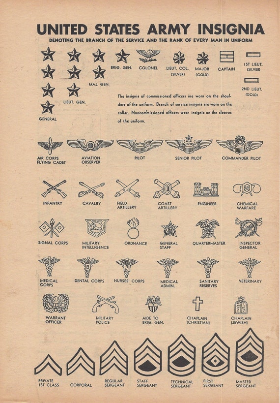 United States Army Insignia Military Vintage Illustration