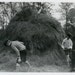 Vintage Photo "Searching for the Needle", Photography, Paper Ephemera, Snapshot, Old Photo, Collectibles - 0084