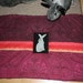 The Bun-velope - soft carrier liner for rabbits quilted purple and red paisley fabric