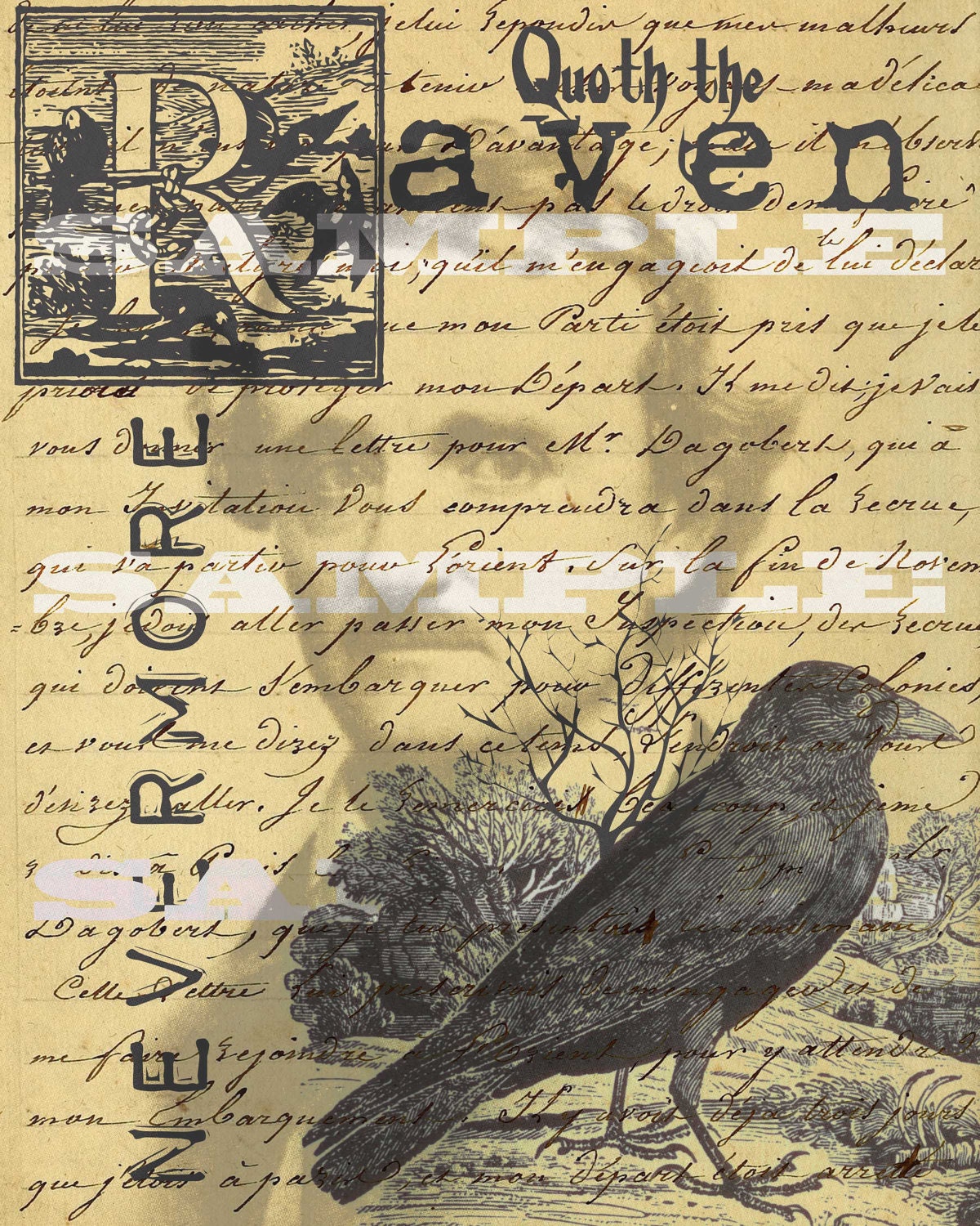 Edgar Allan Poe Quoth The Raven Nevermore Poem by tinyblessingstx