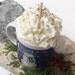Cocoa Cappachnio Soy Candle - 12 ounce Mug