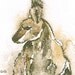 Red-necked Wallaby 2/2, Original Watercolour and Graphite Sketch -Free Shipping Worldwide-