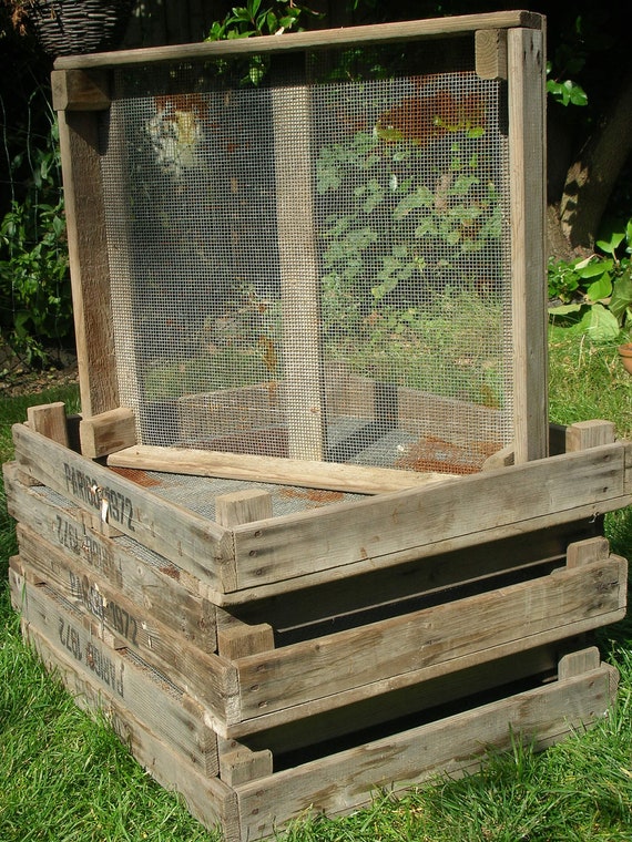 Vintage wooden bulb tray fruit storage rack drying by EmberGate