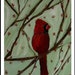 Baby Male Cardinal Bird Print Giclee 8 X10