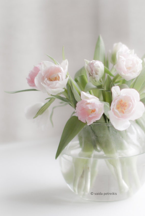 Flower photo print Gentleness 4x6 inches fine art photograph