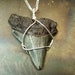 Sterling Silver, Fossil Shark Tooth necklace pendant wire wrap black suede cord or silver chain - men or women unisex