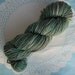 Knitcircus Pixie Dust Fingering Glitter Sock Yarn Hand-dyed OOAK Color: Moss and Lichen