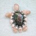 Turtle Art Sea Turtle Seashells