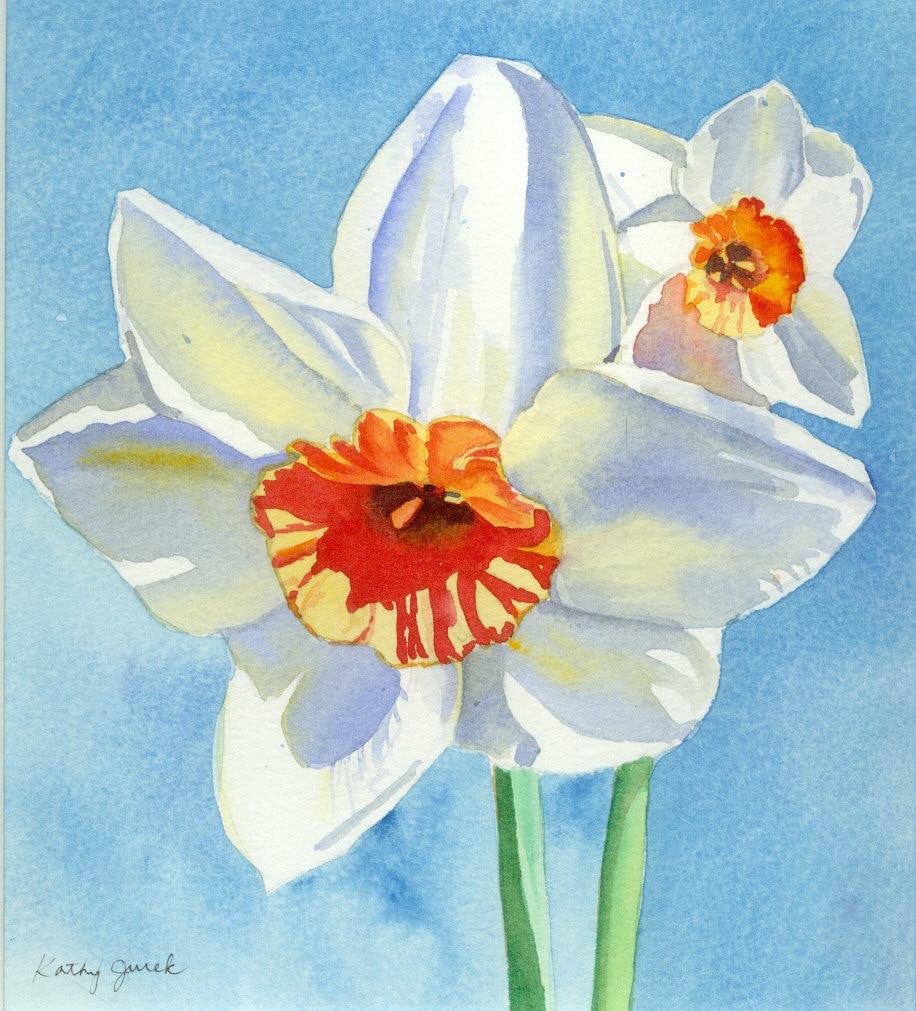 Daffodil Watercolor Painting by kathyjurek on Etsy