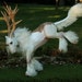 OOAK Fantasy Equine Unicorn Kirin Sculpture "Rendition" by Quequinox Art