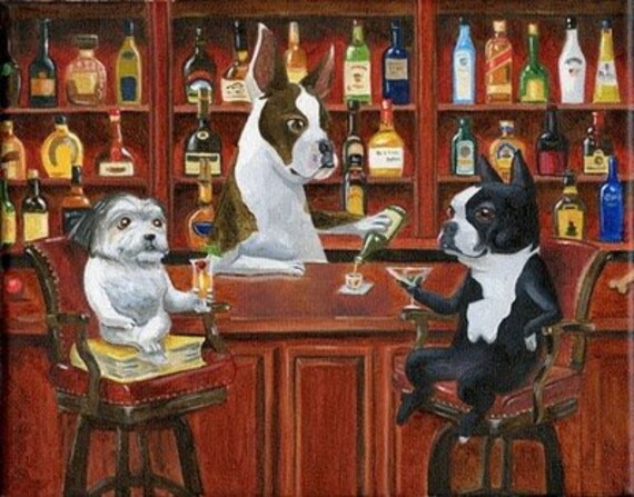Boston Terrier Great Dane and Shih Tzu at the bar dog art