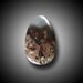Prudent Man Plume Agate Cabochon Agate Cab