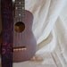 RESERVED FOR NICK Vegan Mandolin Strap-The Purple Cosmos-