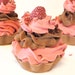 Raspberry Chocolate Truffle Handmade Artisan Soap Cupcake