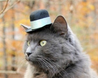 Cat top hat | Etsy