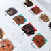 2013 Dachshund Calendar Print - Eco-Friendly 8x10 Size