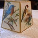 Put a Bird on It Vintage Lampshade - Bird Lampshade - Vintage Bird Lampshade